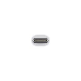 Apple Thunderbolt 3 (USB-C) – Thunderbolt 2